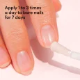 Application_EN