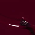 Prune_2